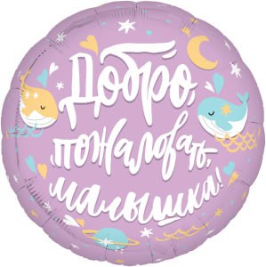 Шар Добро пожаловать, малышка